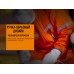 Фонарь ручной Fenix WF05E