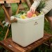 Туристический холодильник Naturehike CNK2300BS011, 33 л, бежевый