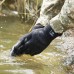 Перчатки водонепроницаемые Dexshell ToughShield, размер L (DG458NL)