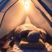 Палатка сверхлегкая двухместная с футпринтом Naturehike Cloud Up Pro CNK2350WS020, 20D, светлая серая
