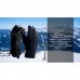 Перчатки водонепроницаемые Dexshell Ultra Weather Outdoor Gloves, p-p L, зимние