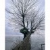 Плащ-дождевик Naturehike CNH23RG001, темно-зеленый